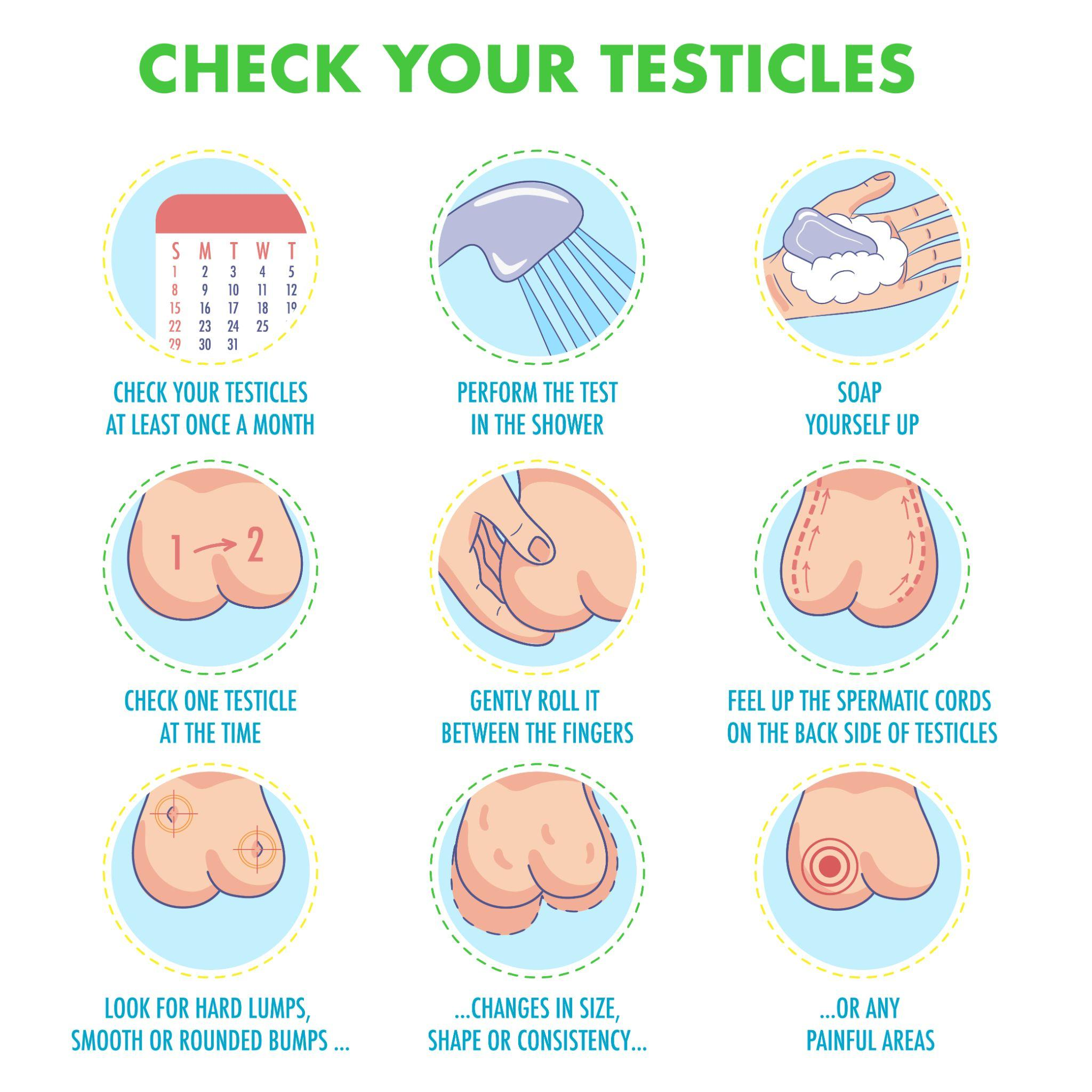 testicular Cancer